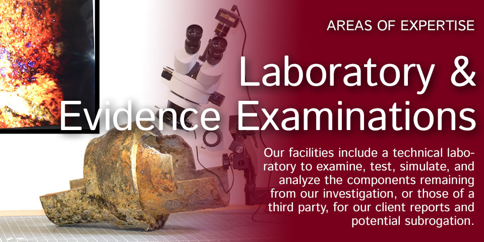 Laboratory and Evidence Examinations